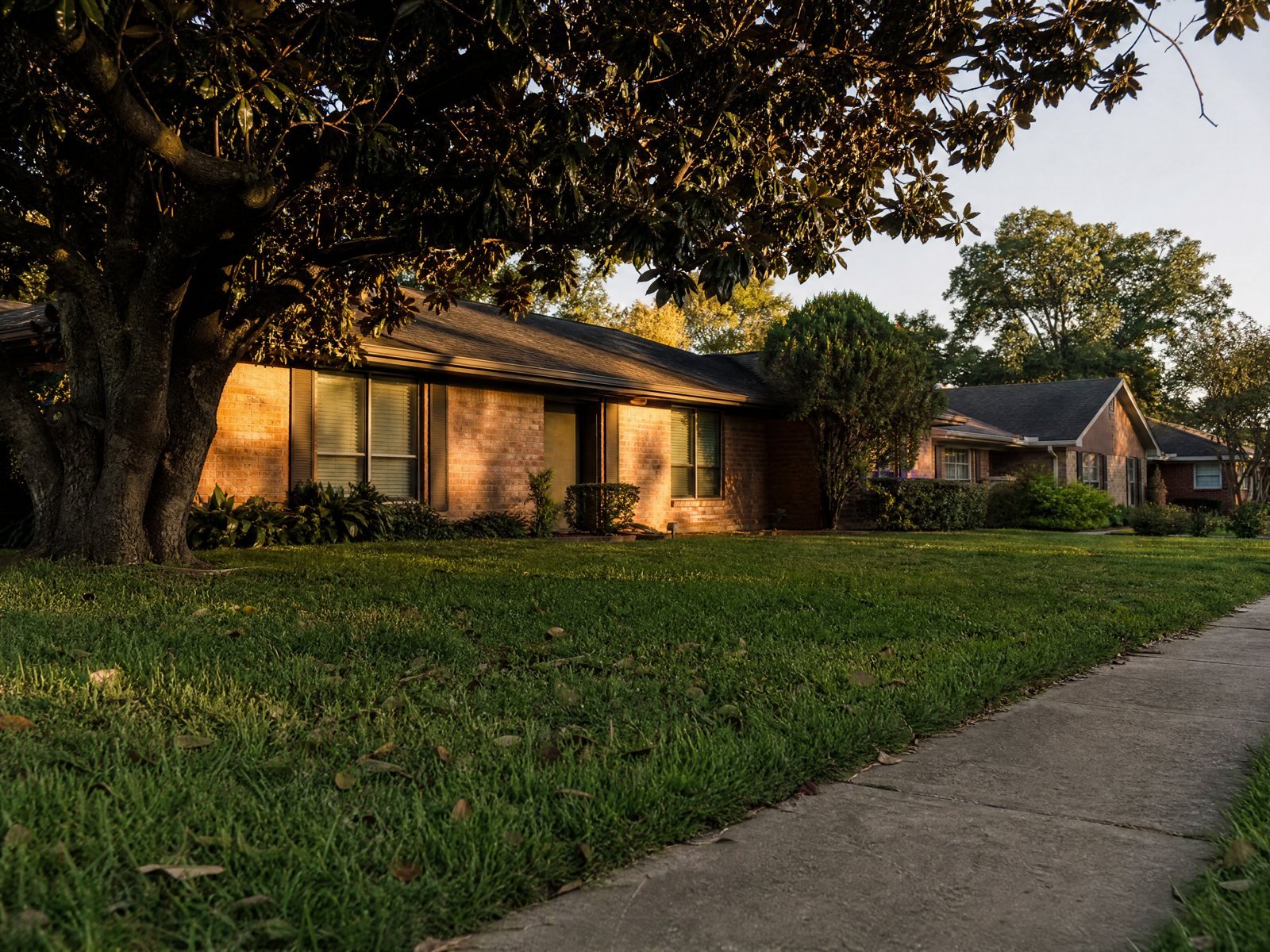 Tree lined Houston residential street with neighborhood homes at golden hour